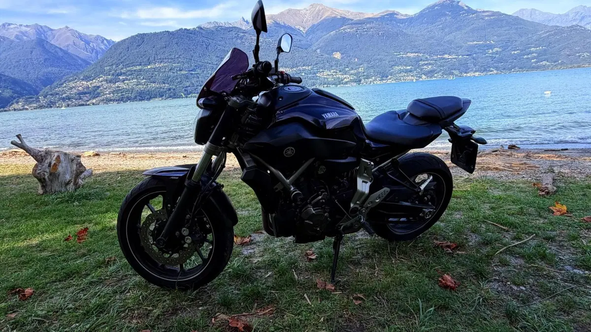 Yamaha MT-07 (2014 - 16) (11)