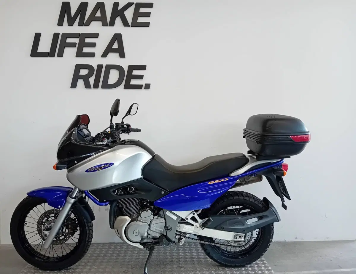 Suzuki XF 650 Freewind (1997 - 03) (2)