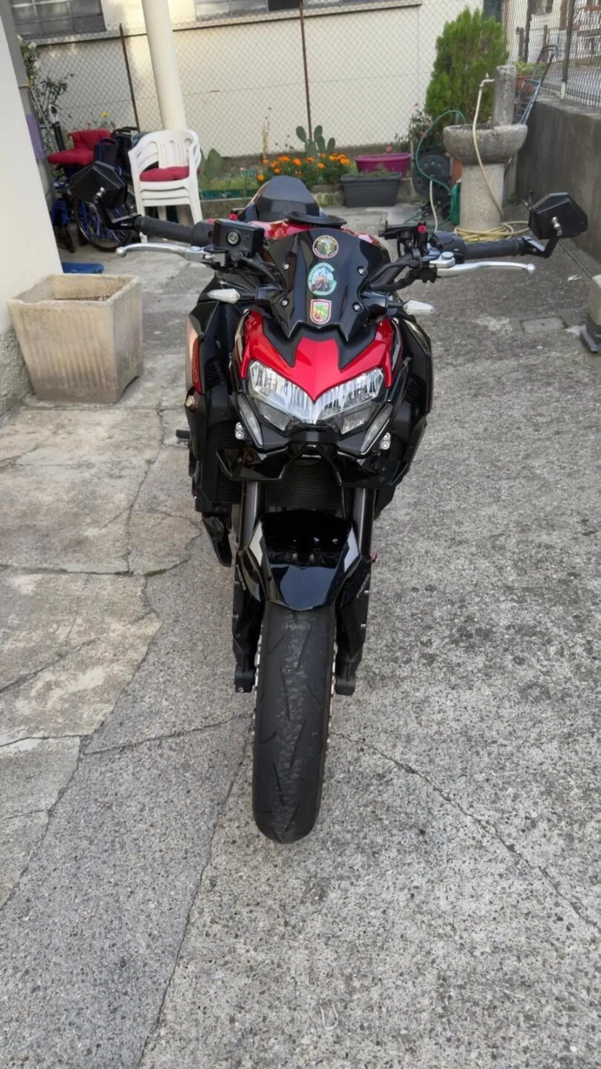 Kawasaki Z 900 (2021 - 24)