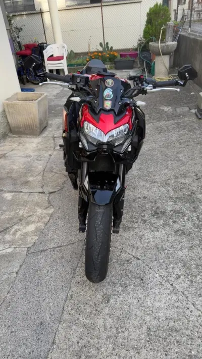 Kawasaki Z 900 (2021 - 24) usata