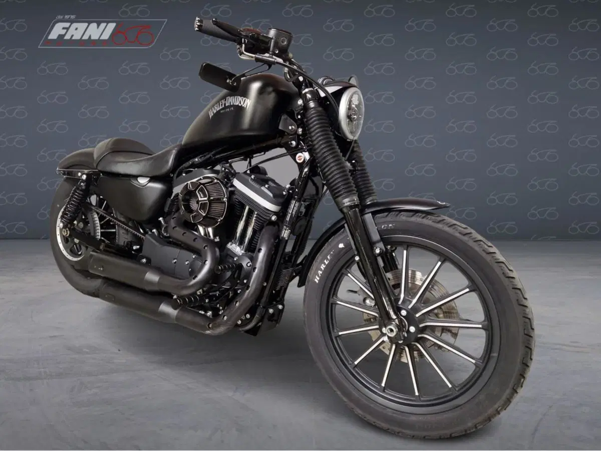 Harley-Davidson 883 Iron (2012 - 14) - XL 883N (2)