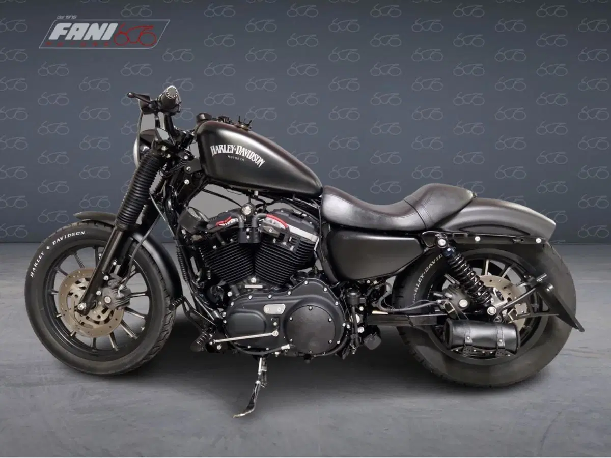 Harley-Davidson 883 Iron (2012 - 14) - XL 883N (3)