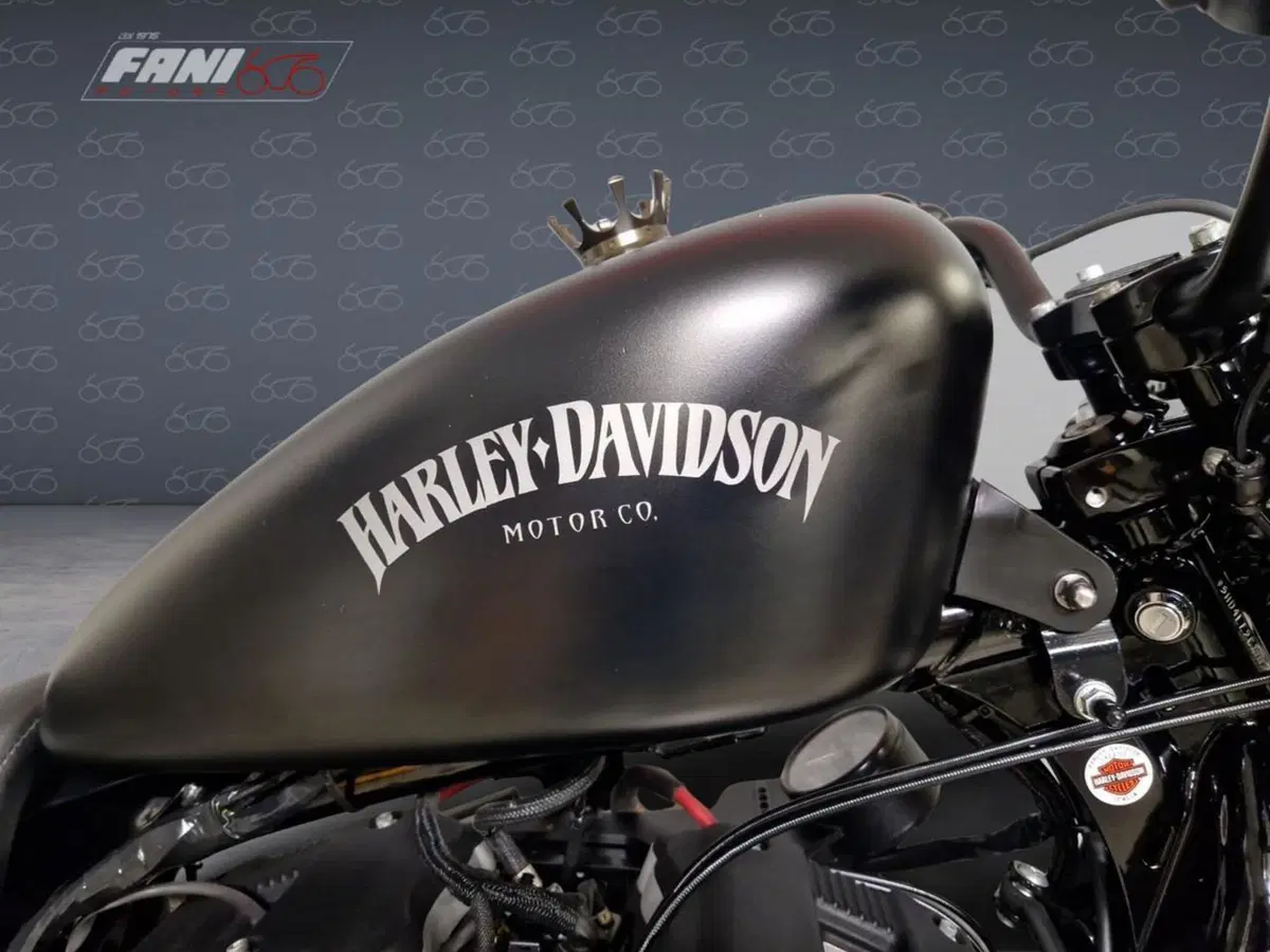 Harley-Davidson 883 Iron (2012 - 14) - XL 883N (6)