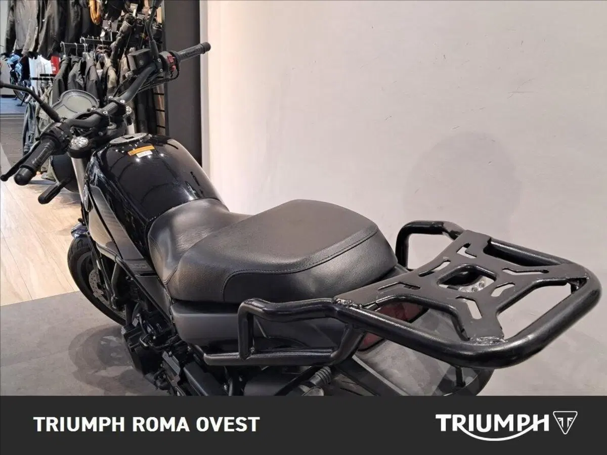 Benelli Leoncino 500 (2021 - 25) (8)