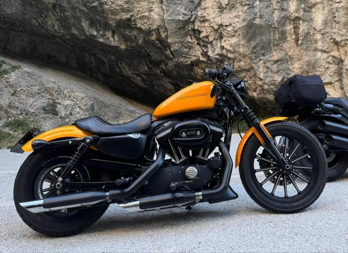 Harley-Davidson 883 Iron (2009 - 11) - XL 883N