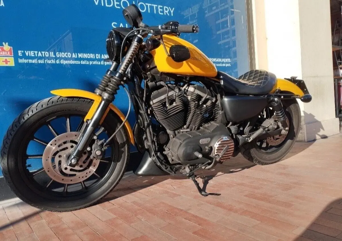 Harley-Davidson 883 Iron (2009 - 11) - XL 883N (2)