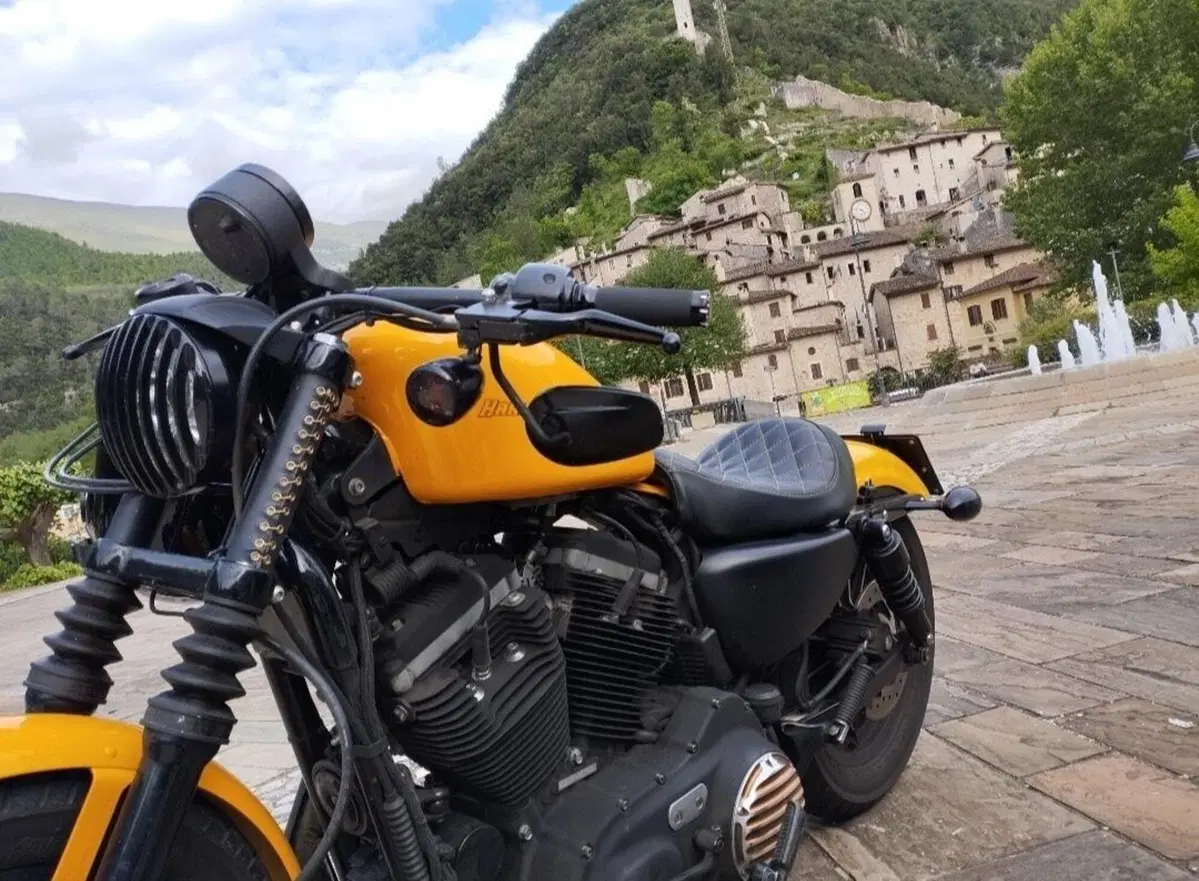 Harley-Davidson 883 Iron (2009 - 11) - XL 883N (3)