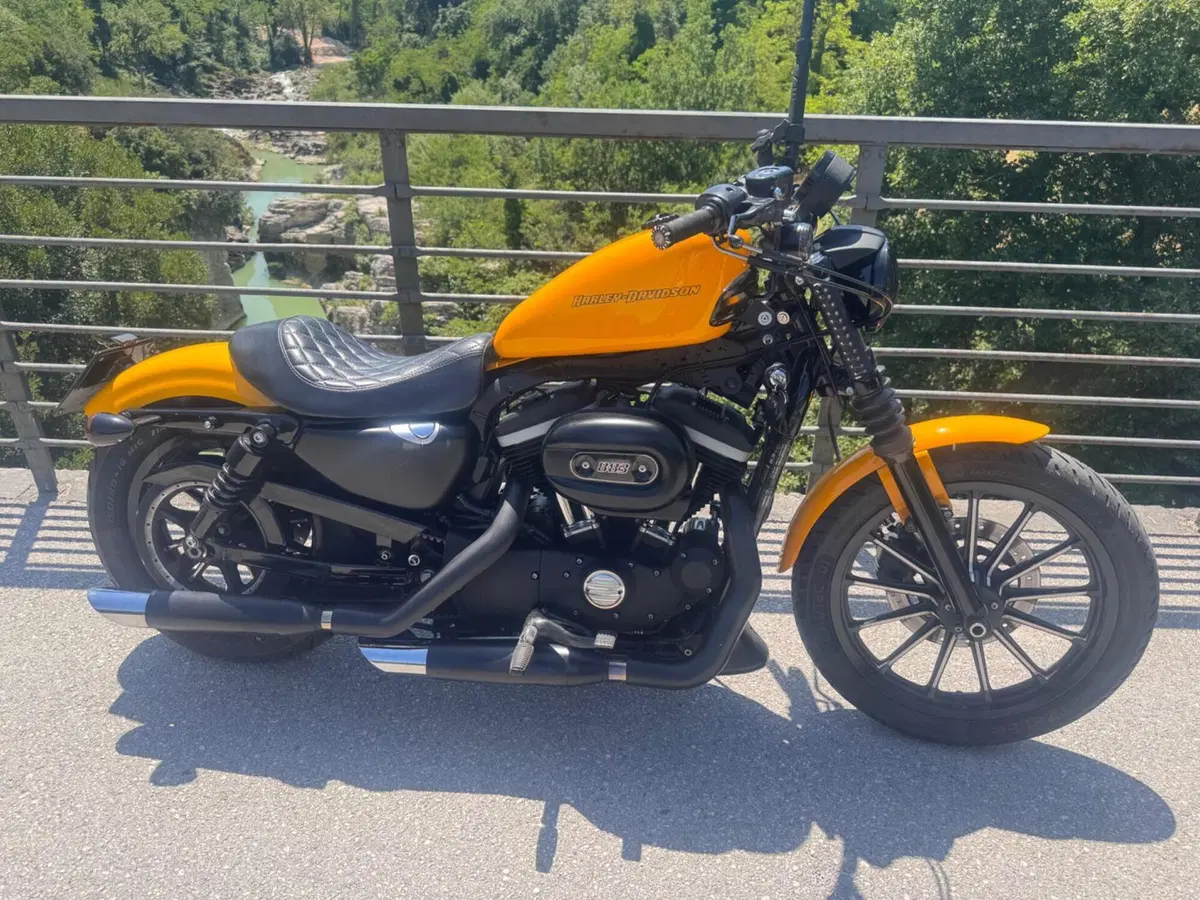 Harley-Davidson 883 Iron (2009 - 11) - XL 883N (4)