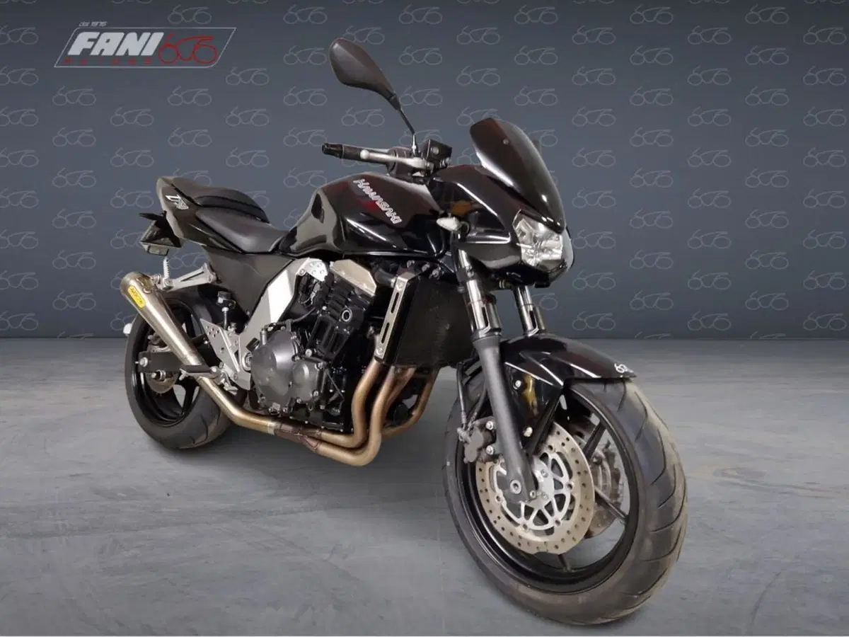Kawasaki Z 750 (2003 - 06) (2)