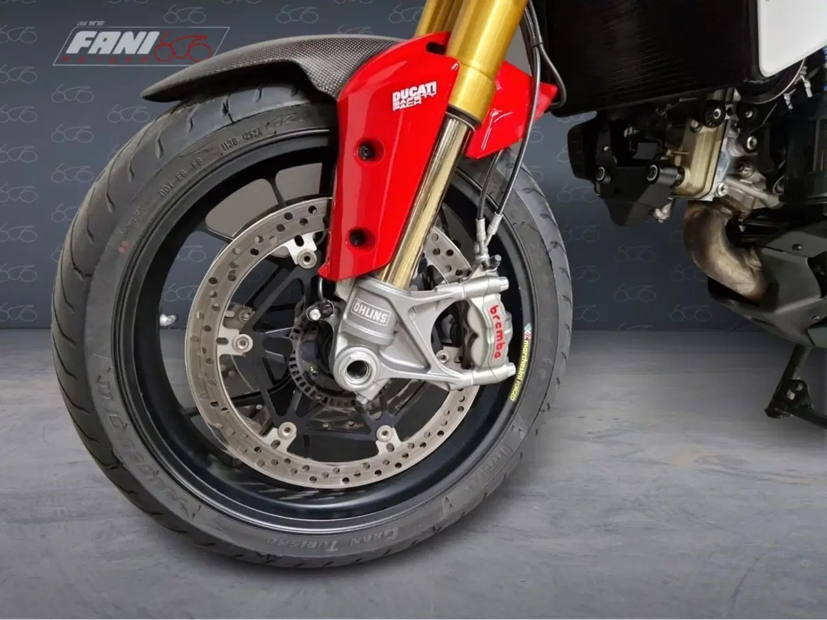 Ducati Multistrada 1260 Pikes Peak (2018 - 20) (5)