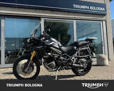 Triumph Tiger 1200 Rally Pro (2022 - 23) usata