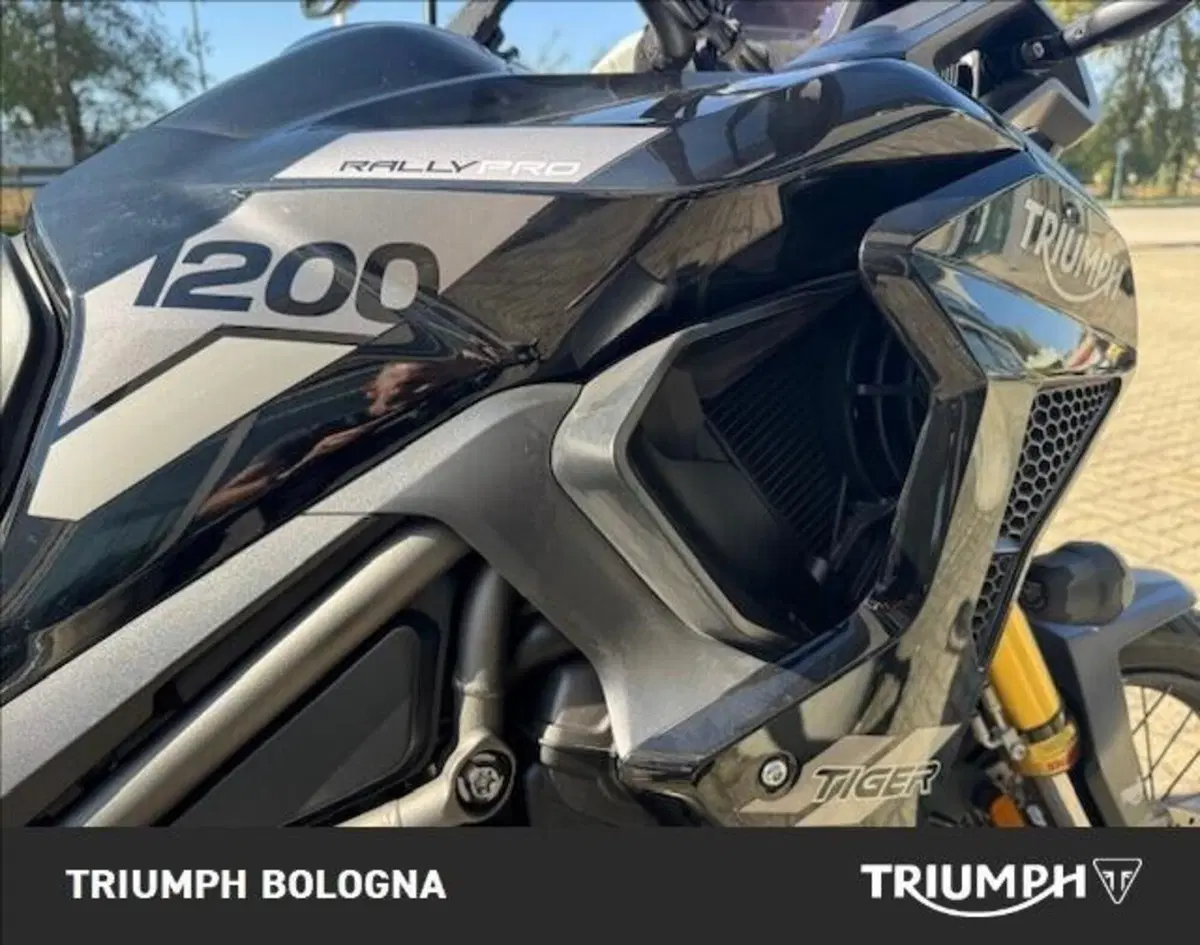 Triumph Tiger 1200 Rally Pro (2022 - 23) (5)