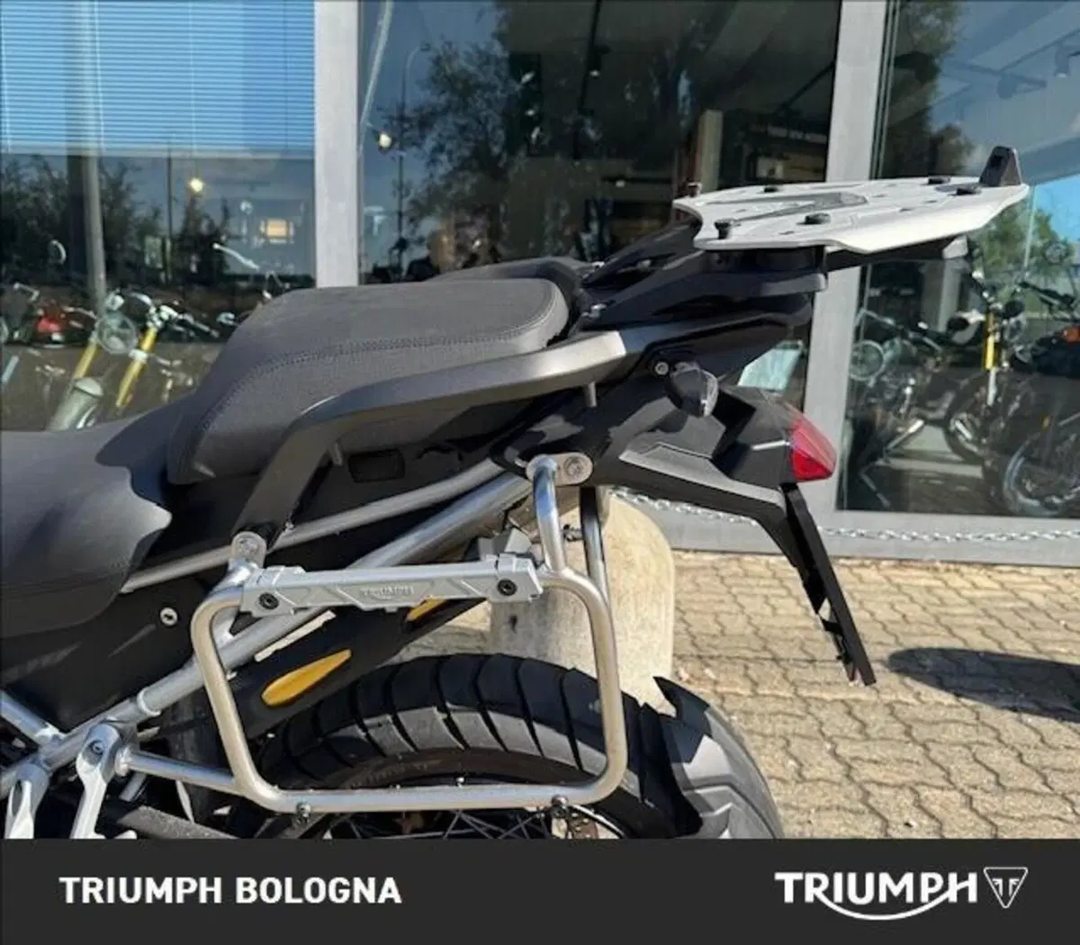 Triumph Tiger 1200 Rally Pro (2022 - 23) (9)