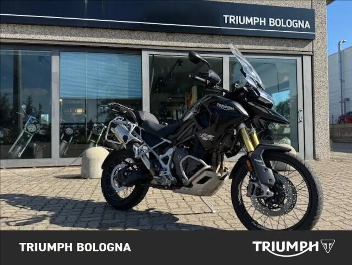 Triumph Tiger 1200 Rally Pro (2022 - 23) (2)