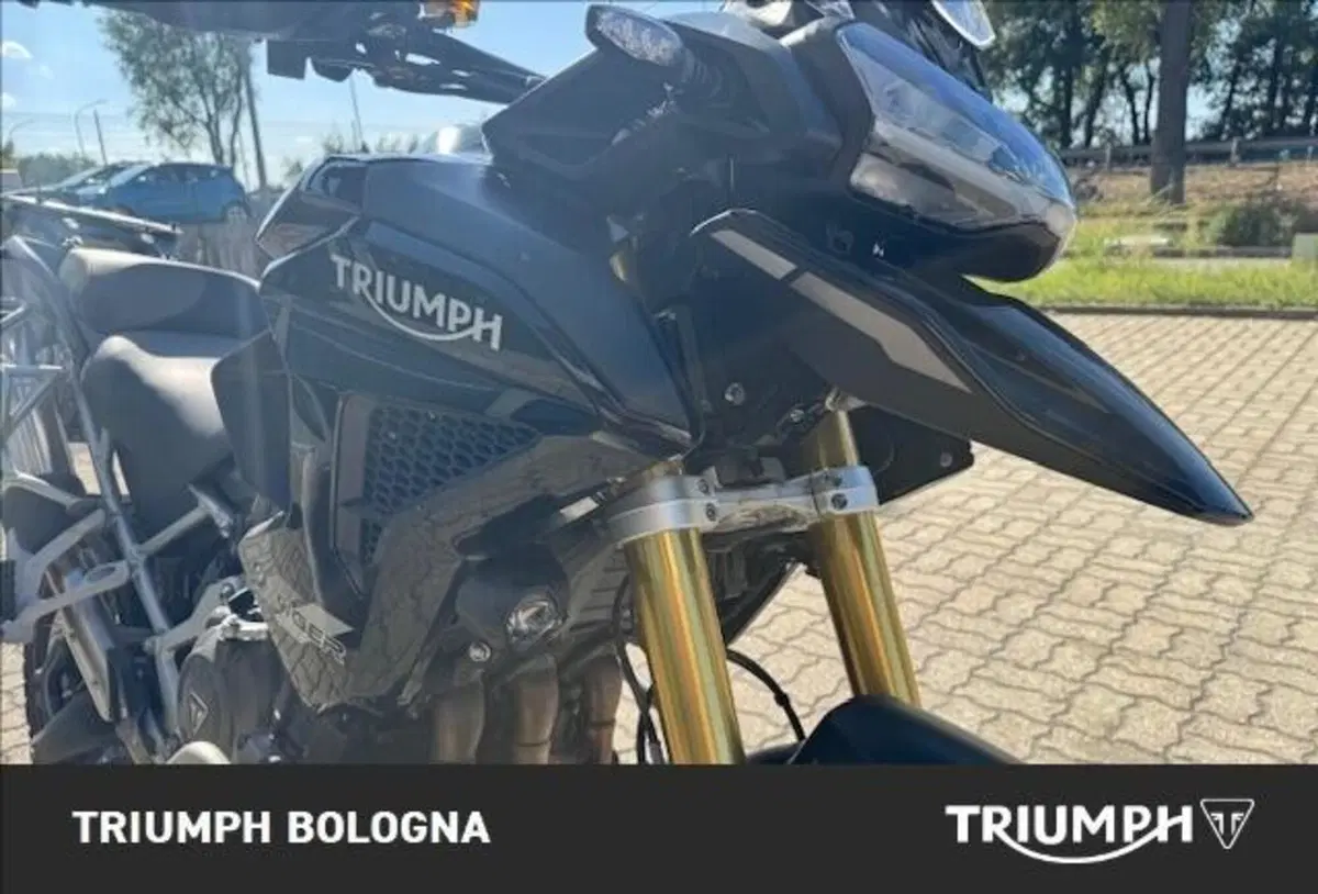 Triumph Tiger 1200 Rally Pro (2022 - 23) (8)