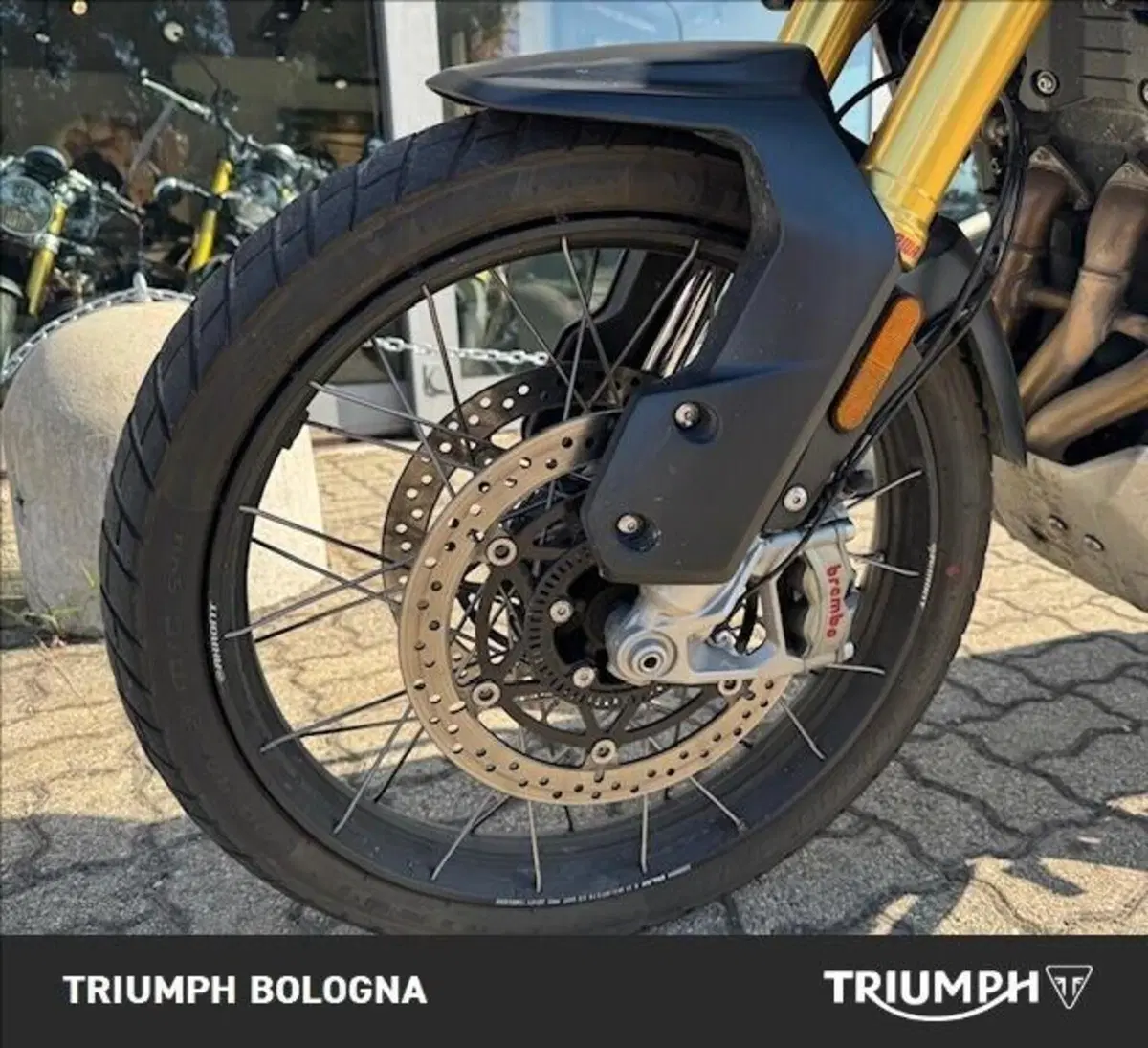 Triumph Tiger 1200 Rally Pro (2022 - 23) (6)