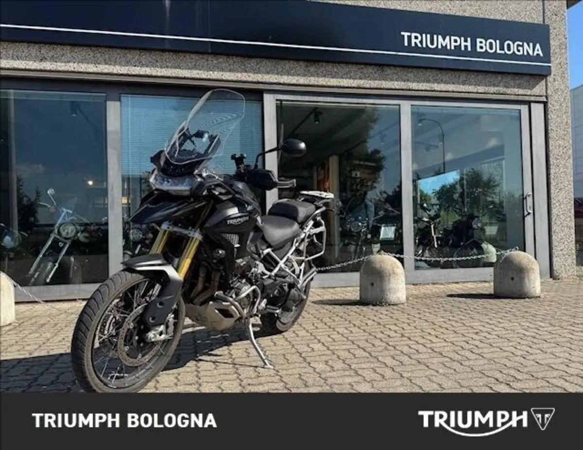 Triumph Tiger 1200 Rally Pro (2022 - 23) (10)