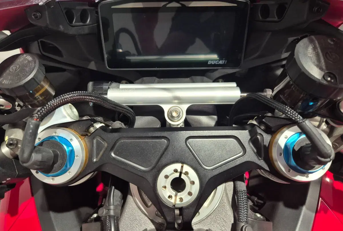 Ducati Panigale V4 S (2025 - 26) (11)