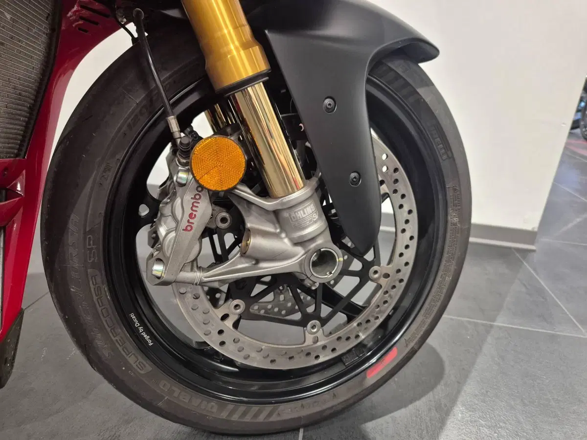 Ducati Panigale V4 S (2025 - 26) (19)