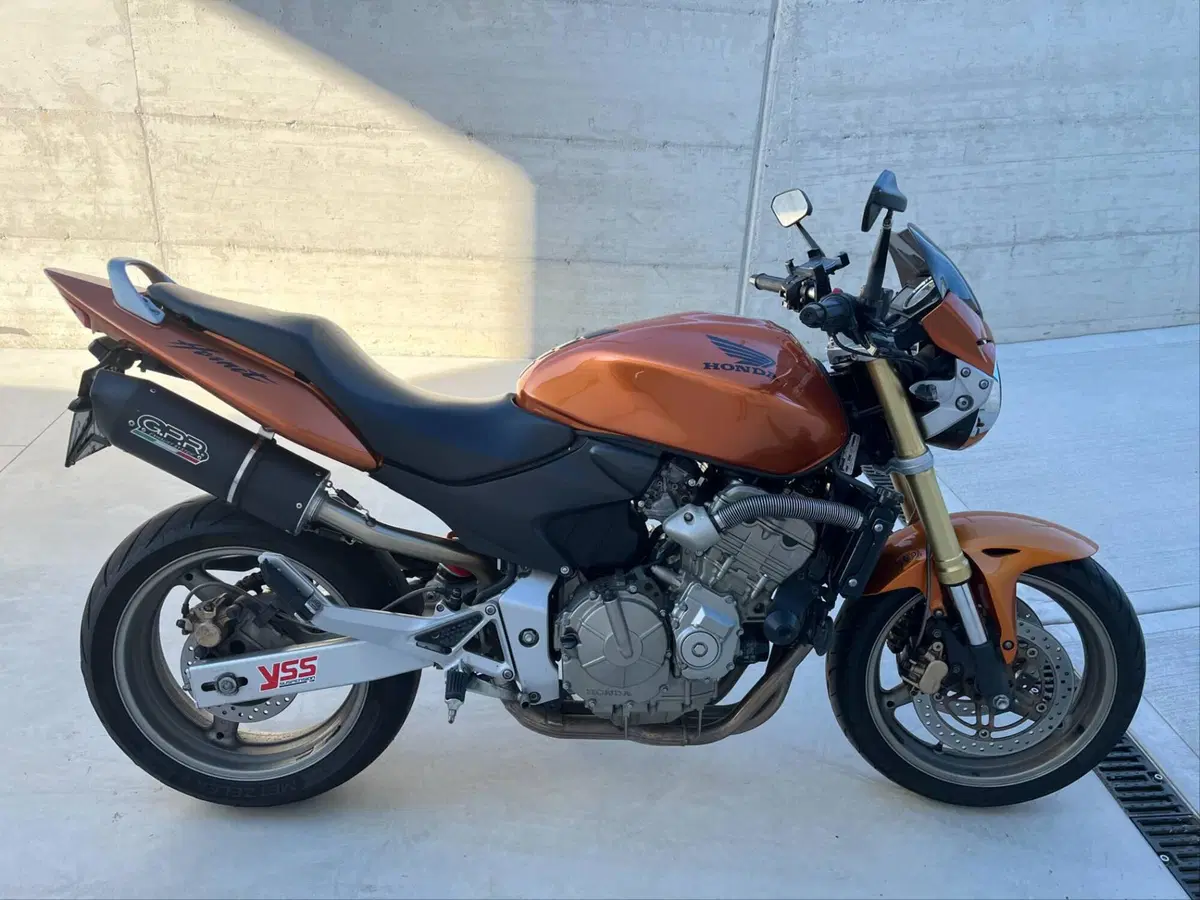 Honda Hornet 600 (2005 - 06) (5)