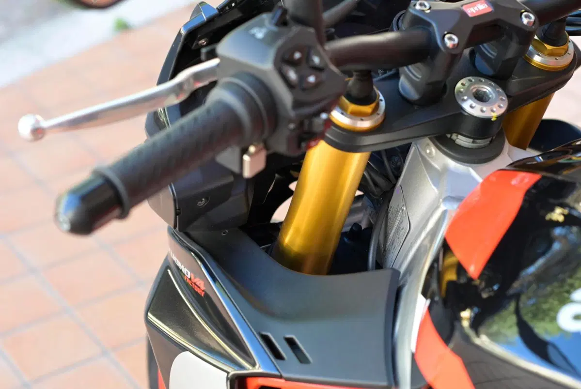Aprilia Tuono V4 Factory (2021 - 24) (15)