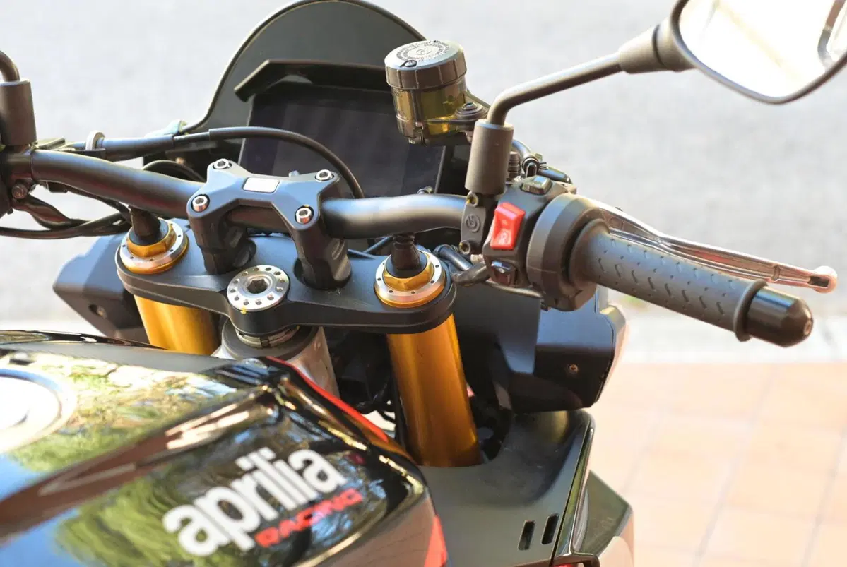 Aprilia Tuono V4 Factory (2021 - 24) (17)