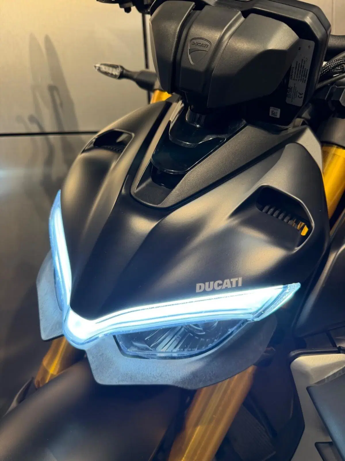Ducati Streetfighter V4 1100 S (2021 - 22) (6)