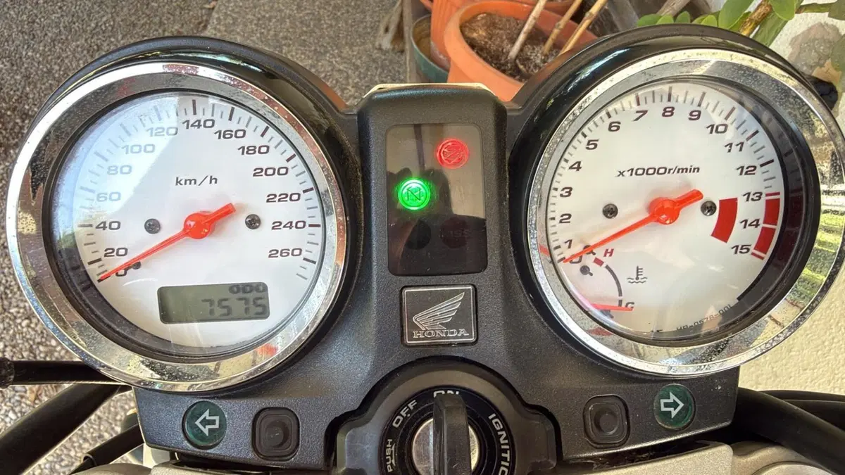 Honda Hornet 600 (2003 - 04) (6)