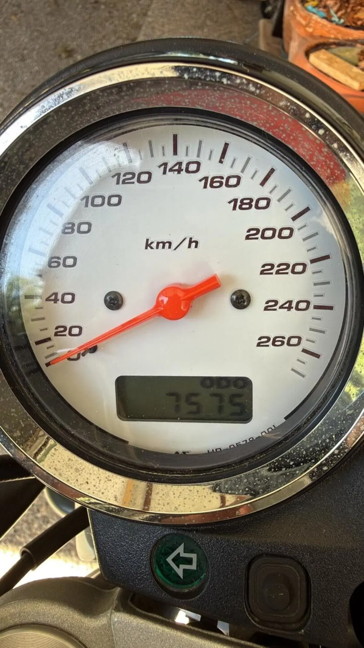 Honda Hornet 600 (2003 - 04) (7)
