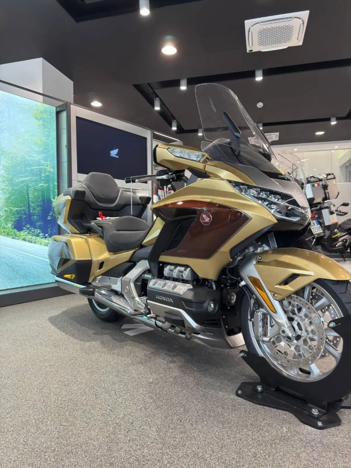 Honda GL 1800 Gold Wing 50° Anniversario (2025 - 26) (4)