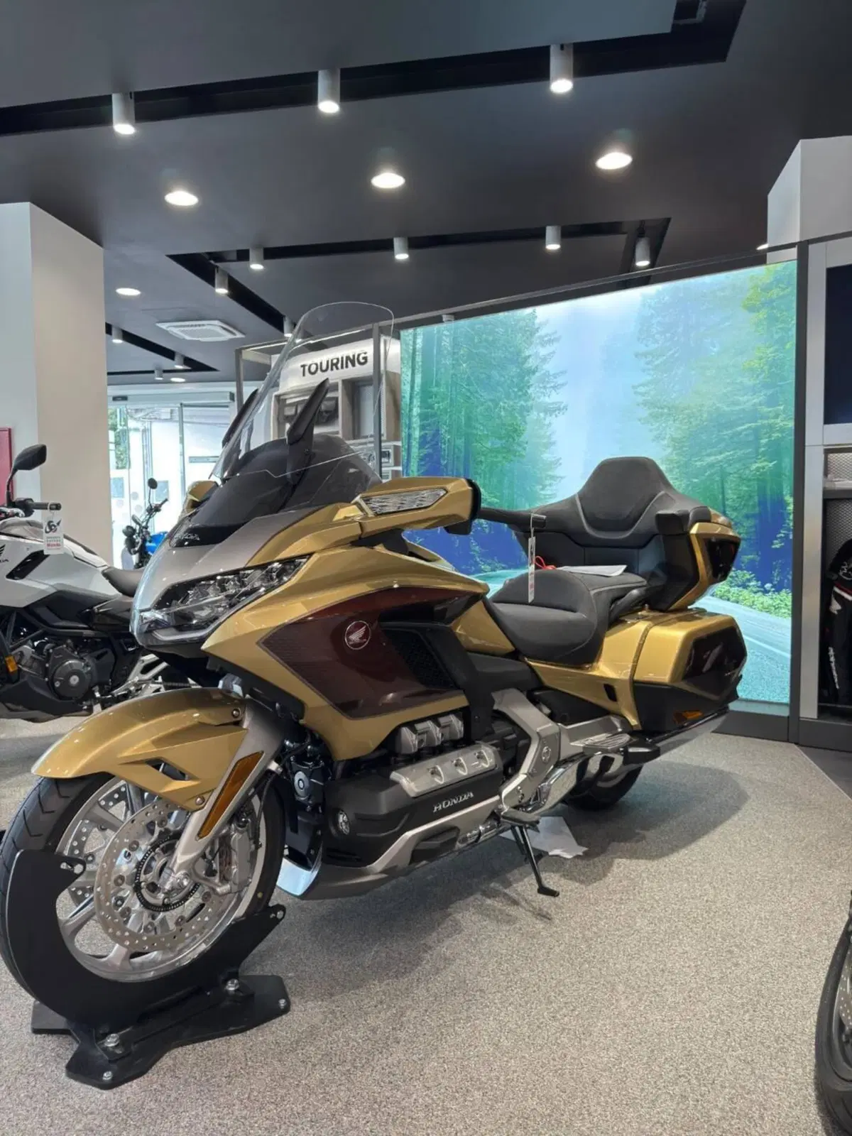Honda GL 1800 Gold Wing 50° Anniversario (2025 - 26)