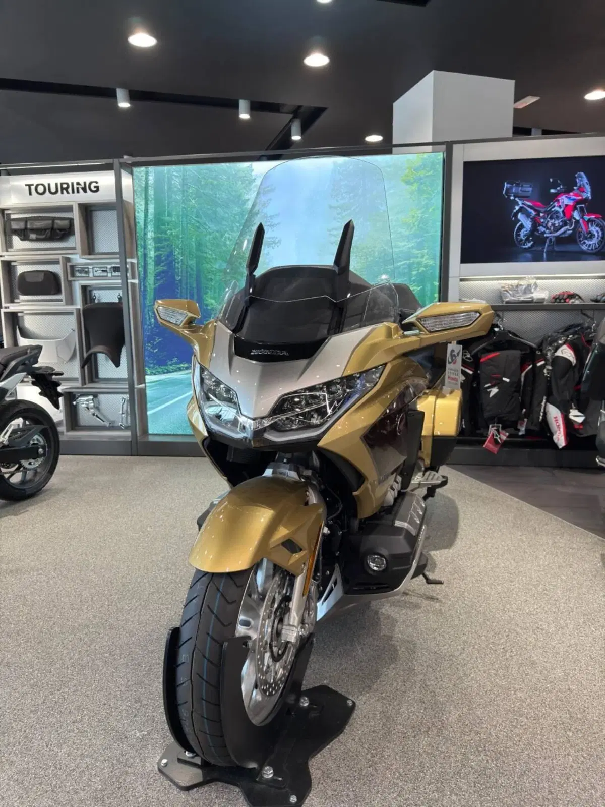 Honda GL 1800 Gold Wing 50° Anniversario (2025 - 26) (2)