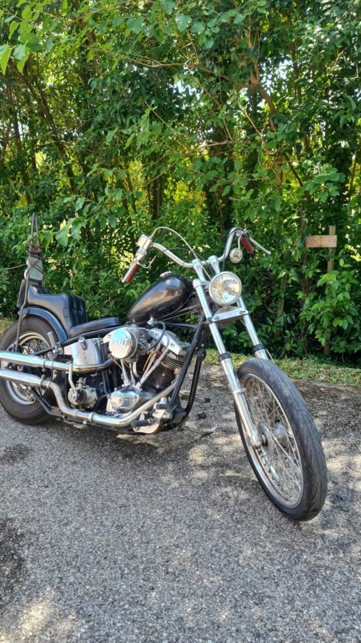 Harley-Davidson Custom (2)