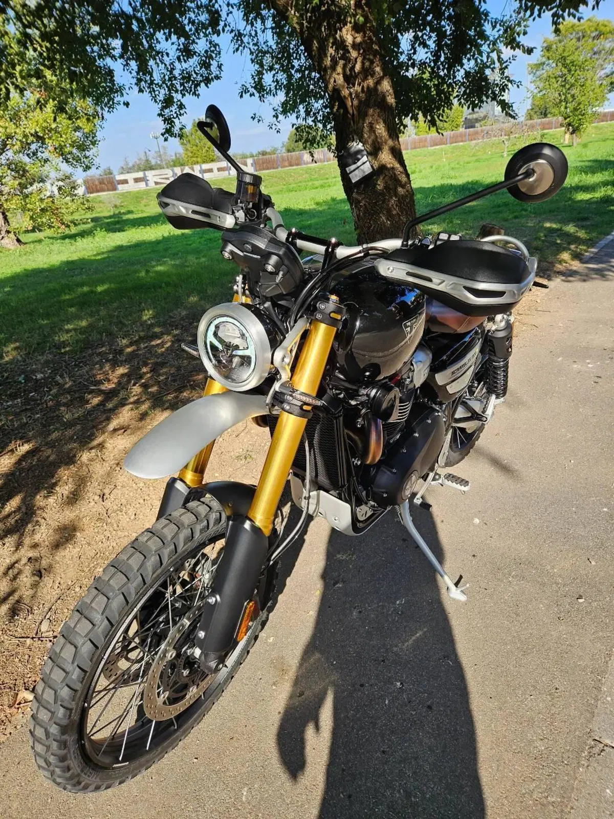Triumph Scrambler 1200 XE (2026) (3)