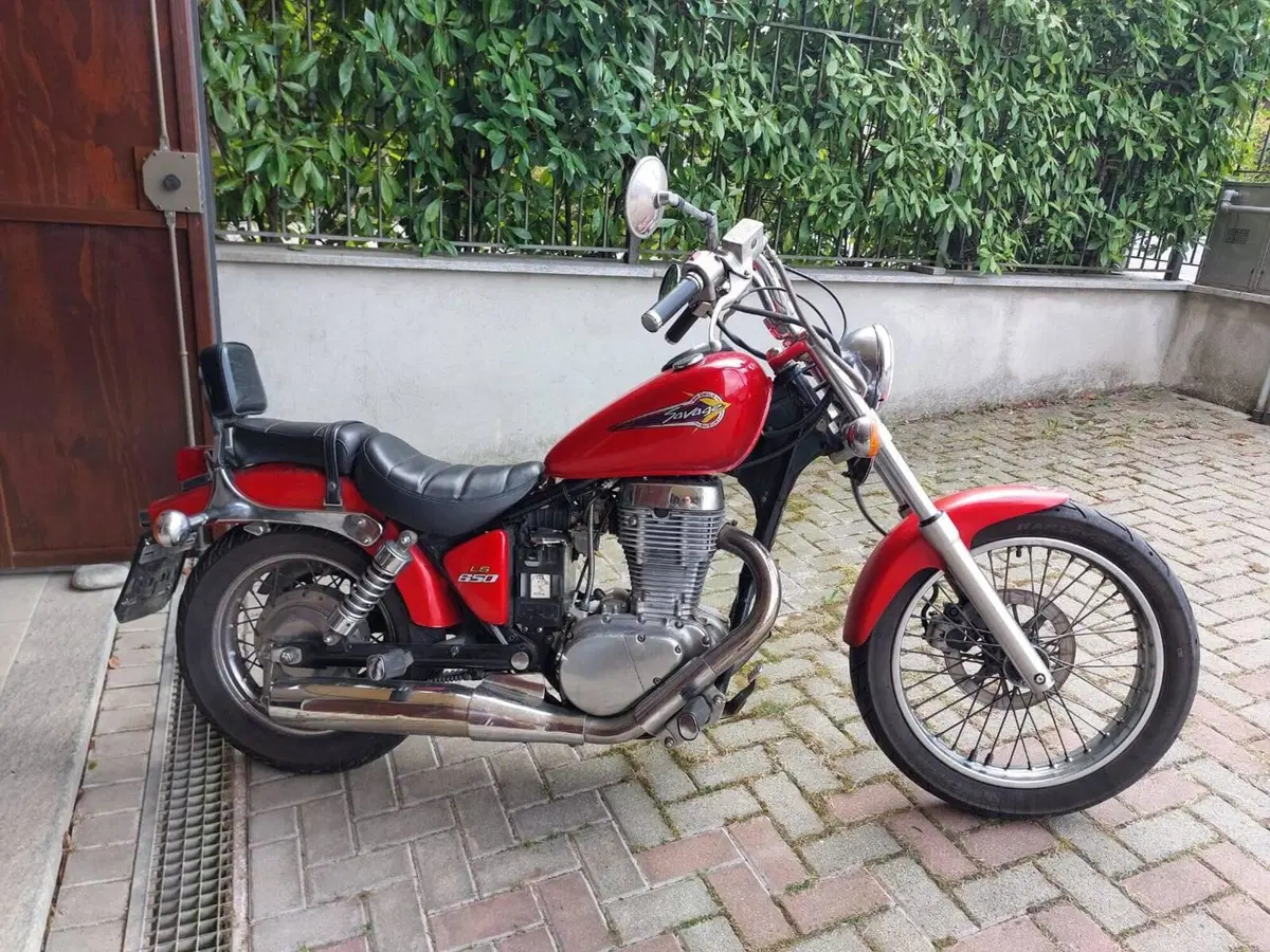 Suzuki LS 650 P Savage (2000 - 02) (2)