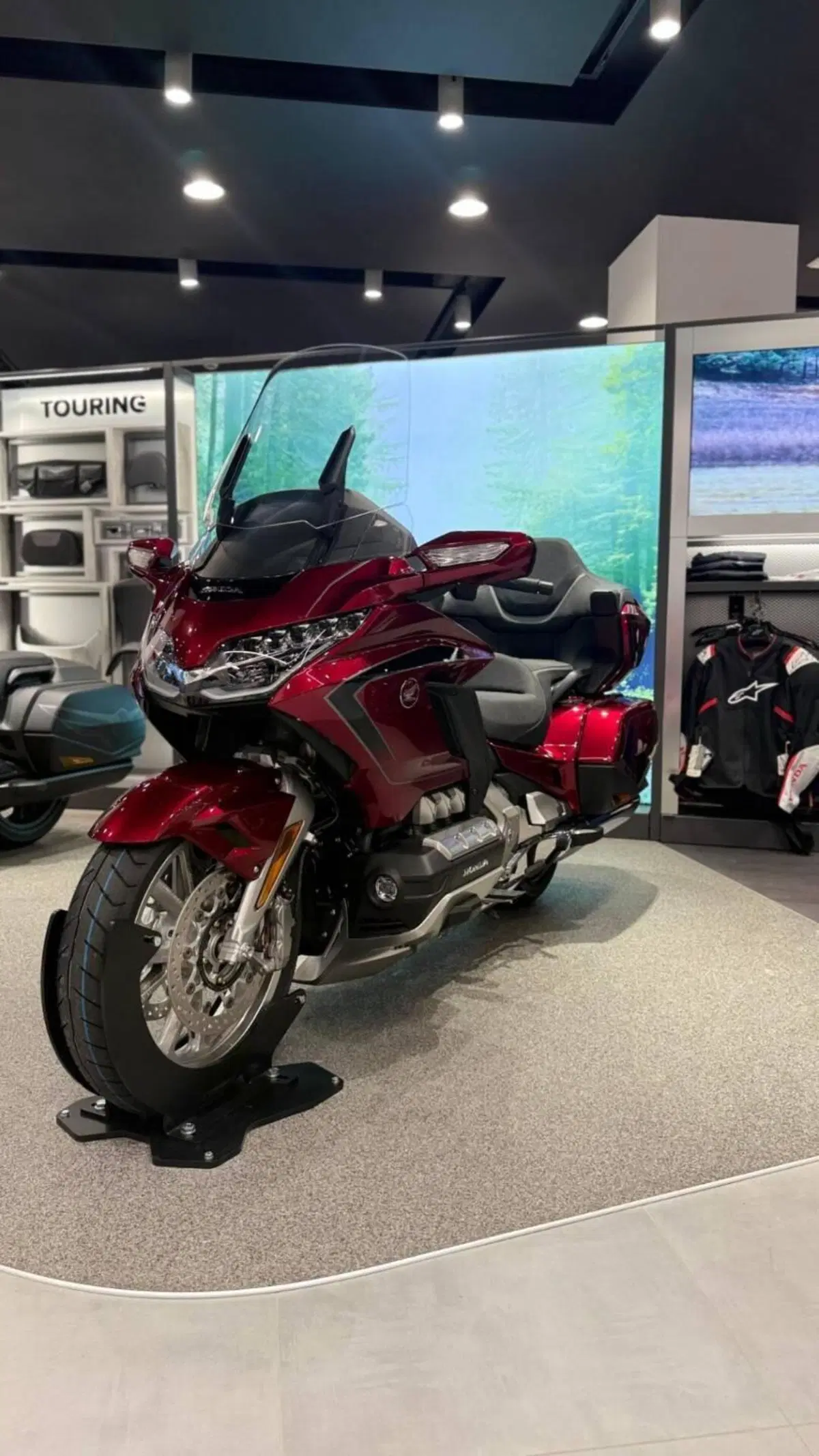 Honda GL 1800 Gold Wing Tour (2025 - 26)