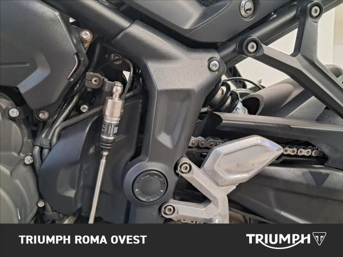 Triumph Trident 660 (2021 - 24) (9)