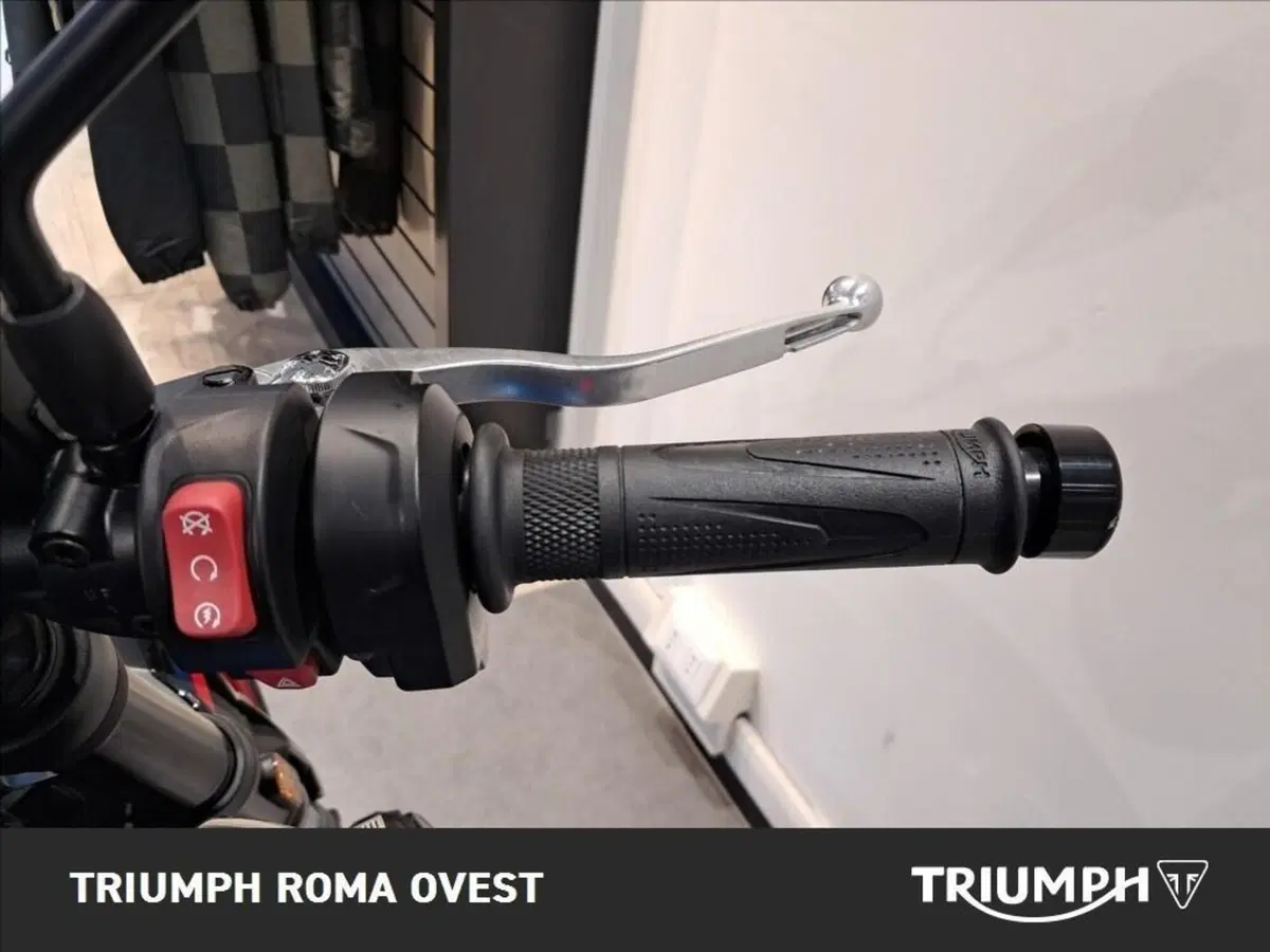 Triumph Trident 660 Triple Tribute Edition (2025 - 26) (10)