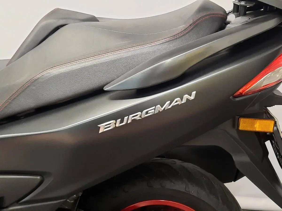 Suzuki Burgman AN 400 (2017 - 20) (17)
