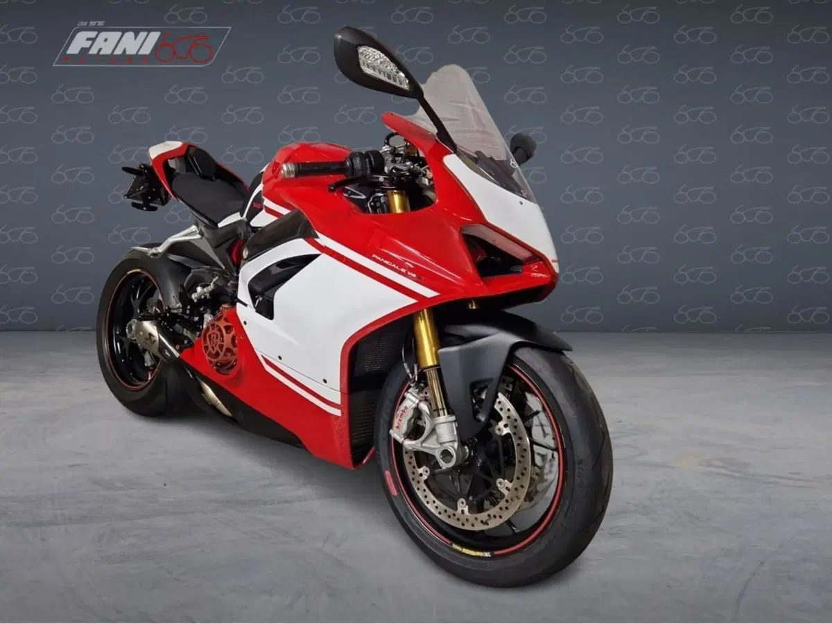 Ducati Panigale V4 S 1100 (2018 - 19) (2)