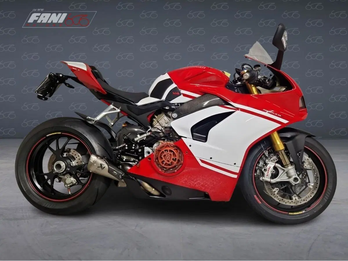 Ducati Panigale V4 S 1100 (2018 - 19)