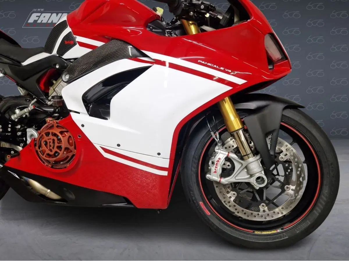 Ducati Panigale V4 S 1100 (2018 - 19) (4)