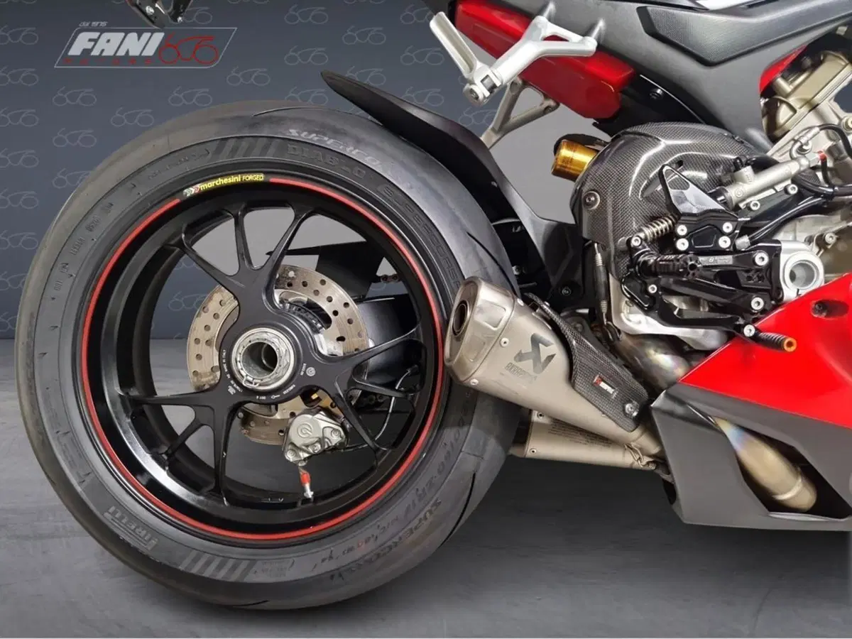 Ducati Panigale V4 S 1100 (2018 - 19) (6)