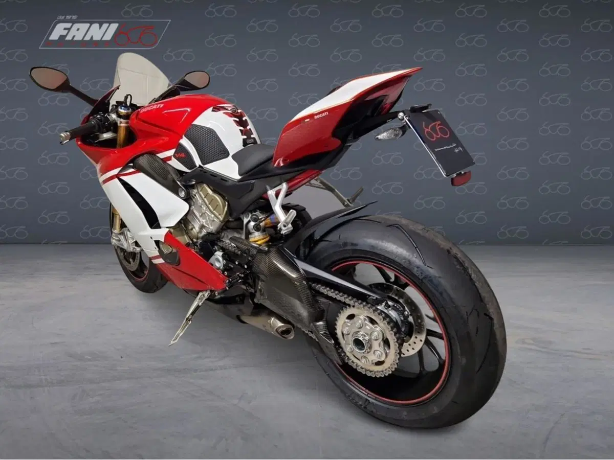 Ducati Panigale V4 S 1100 (2018 - 19) (3)