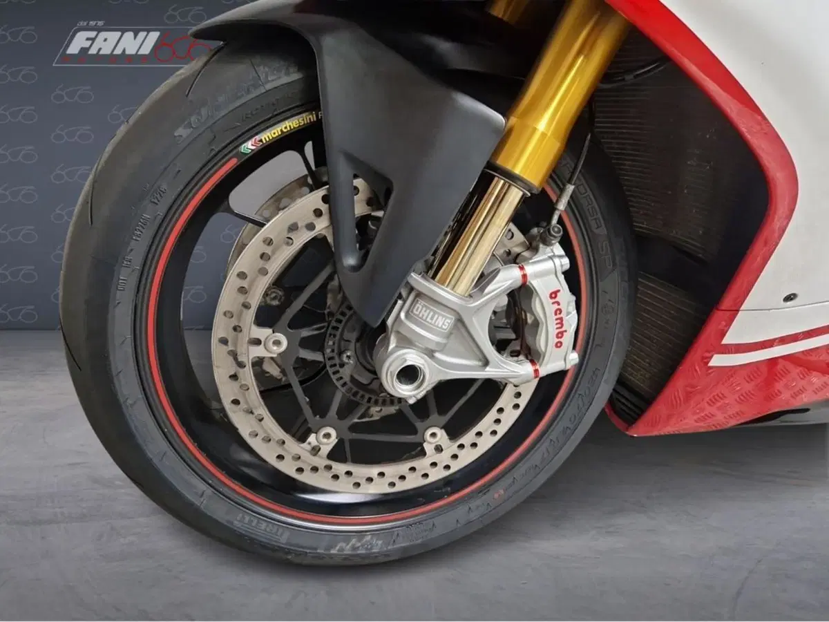 Ducati Panigale V4 S 1100 (2018 - 19) (7)