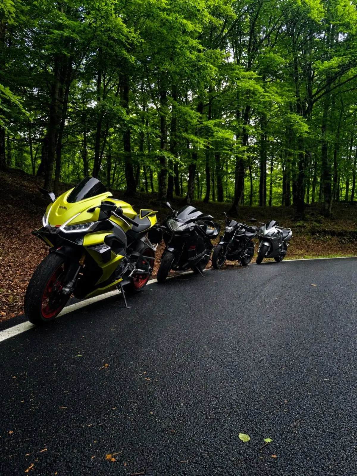 Aprilia RS 660 (2020 - 24) (2)