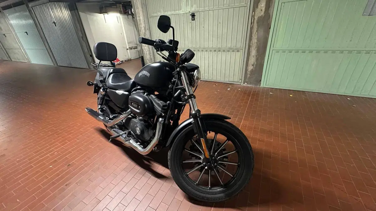 Harley-Davidson 883 R (2008 - 16) - XL 883R (2)