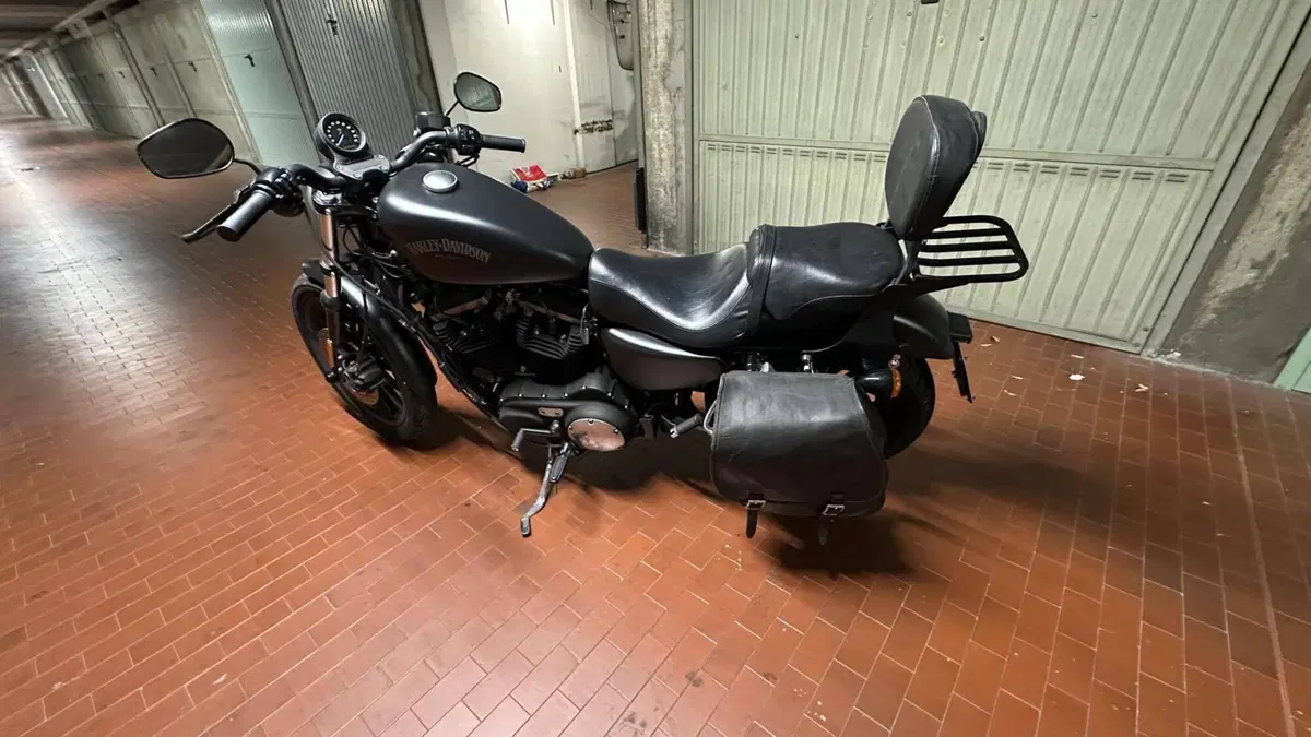 Harley-Davidson 883 R (2008 - 16) - XL 883R (3)