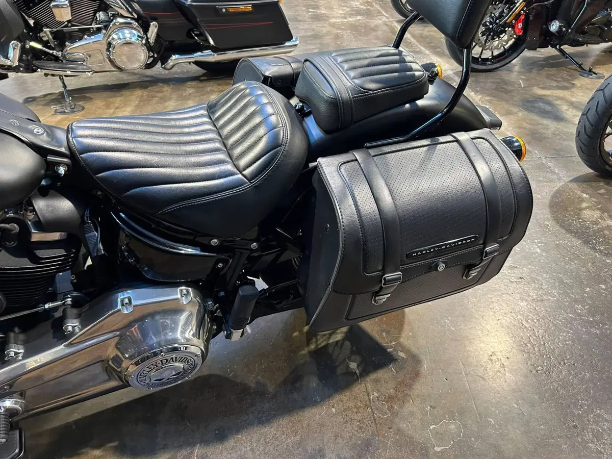 Harley-Davidson 107 Slim (2018 - 20) - FLSL (2)
