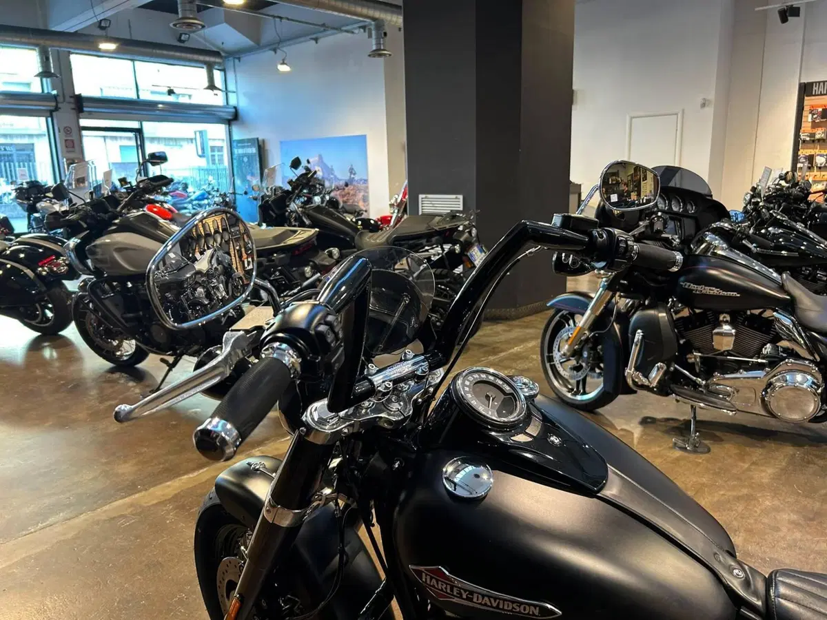Harley-Davidson 107 Slim (2018 - 20) - FLSL (3)